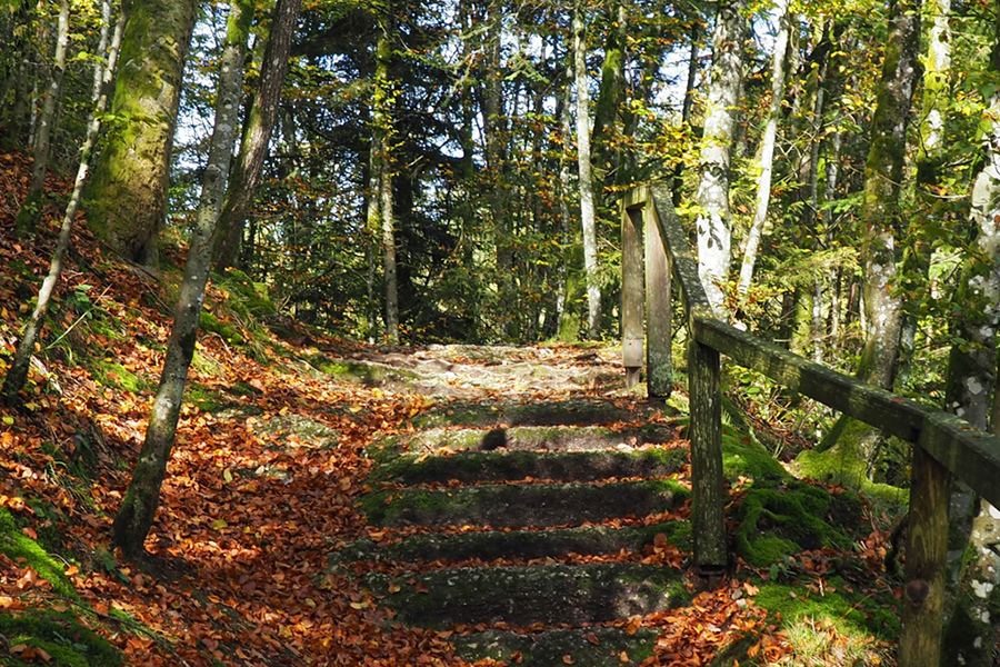 %_tempFileNamewolfsschlucht28%