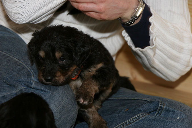 1_Janner%20052