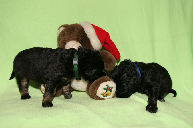 24_Dezember%20016