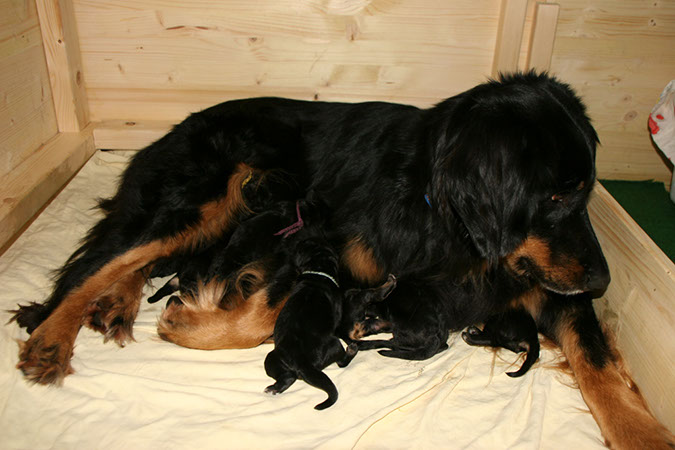 geburt_8_12%20123