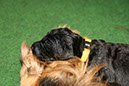 14_Dezember%20083