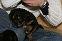 1_Janner%20052