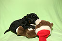 24_Dezember%20007