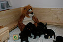 28_Dezember%20010