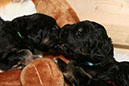 28_Dezember%20063