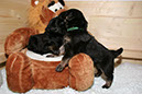 28_Dezember%20122