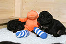 29_Dezember%20051