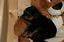 3_Januar%20002