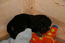 4_januar%20003
