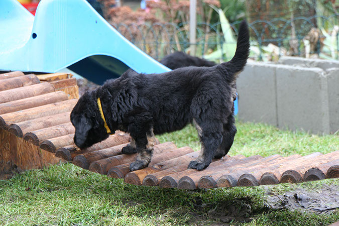 14_Janner%20081