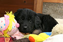 14_Janner%20113