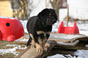 2_Februar%20091