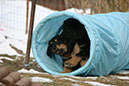 2_Februar%20108