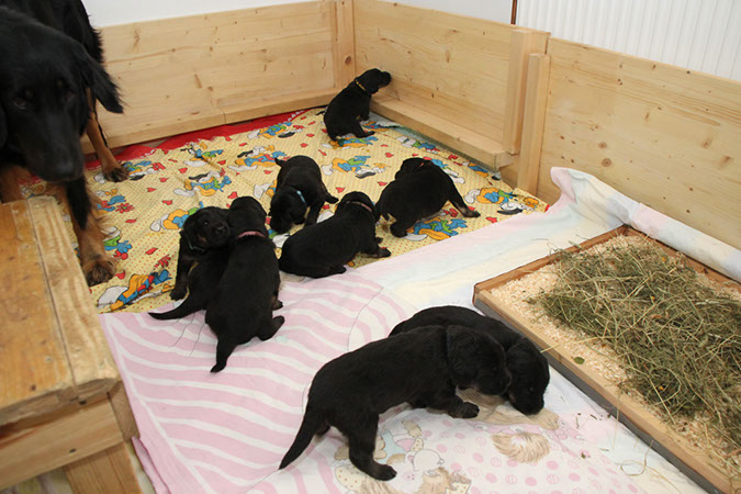 12_april%20070