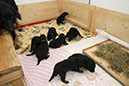 12_april%20070