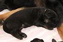 9_april%20093