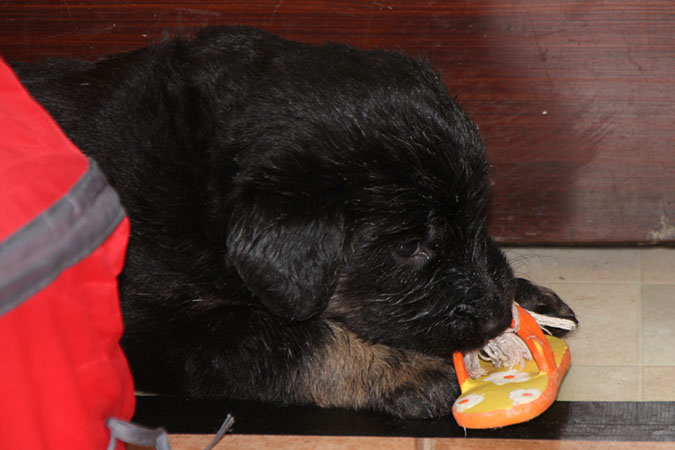 25_april%20108