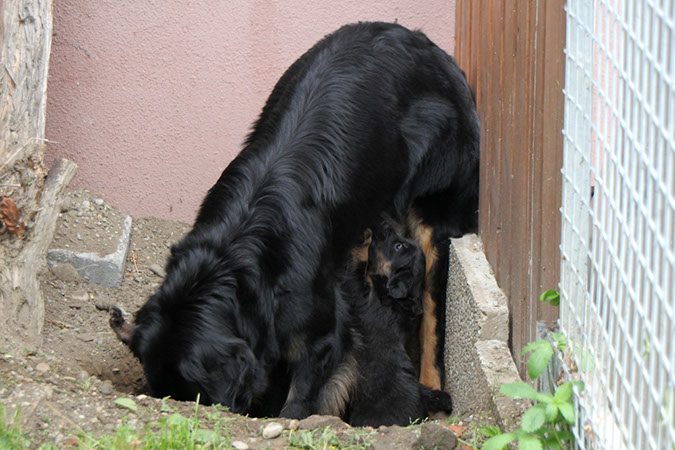 26_april%20047