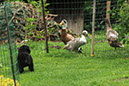 3_mai%20118