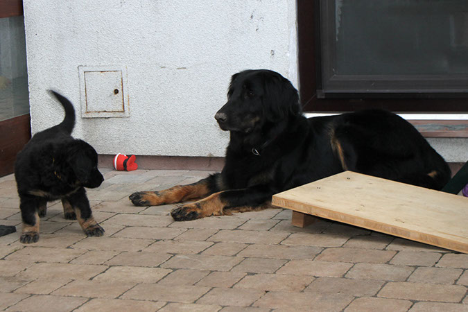 11_mai%20092