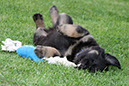 6_mai%20106