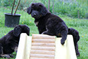 14_mai%20068