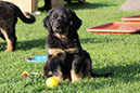 25_mai%20008
