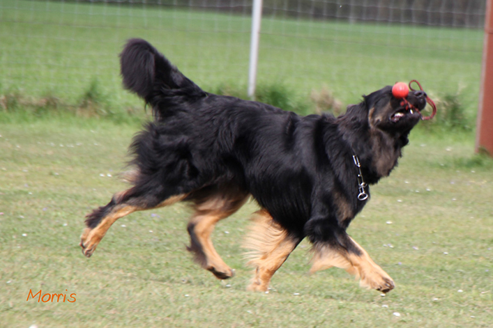 %_tempFileNameIMG_3016%