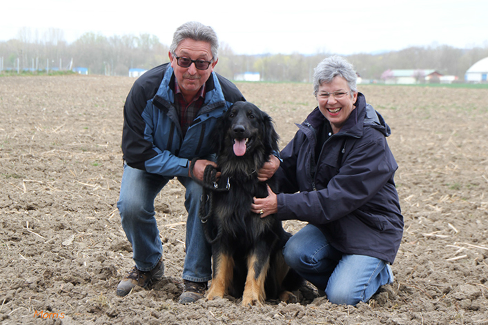 %_tempFileNameIMG_3396%