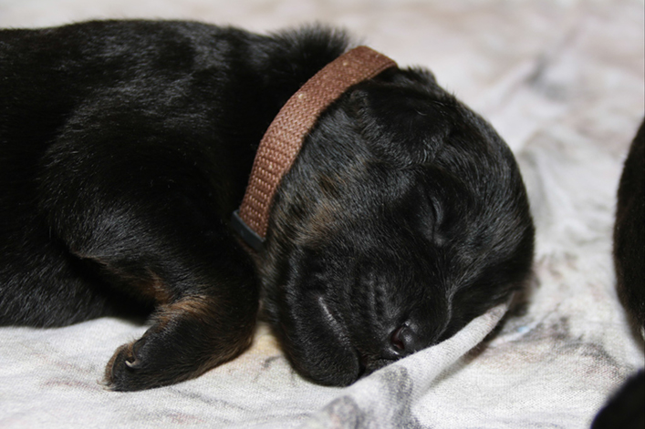 %_tempFileNameIMG_0161%