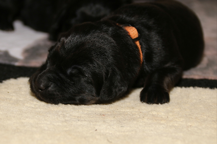 %_tempFileNameIMG_0162%