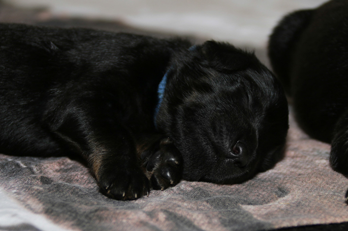 %_tempFileNameIMG_0164%