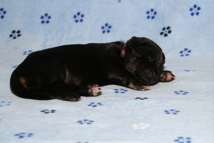 %_tempFileNameIMG_0240%