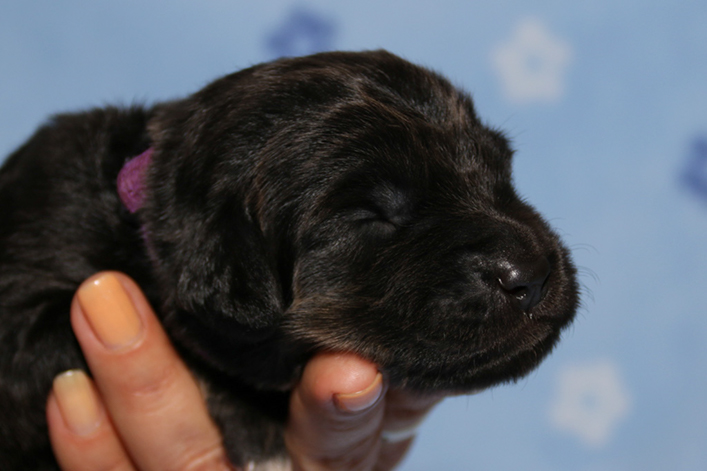 %_tempFileNameIMG_0255%