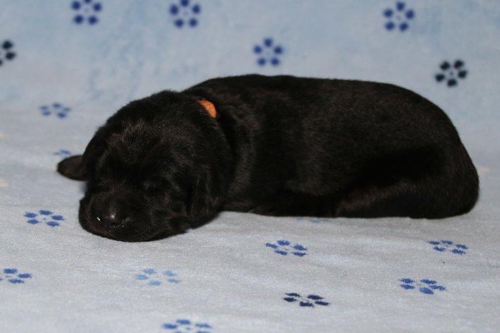 %_tempFileNameIMG_0279%