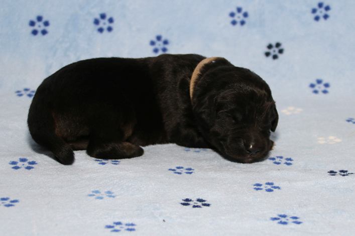 %_tempFileNameIMG_0317%