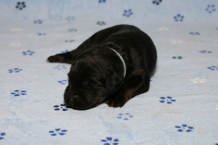 %_tempFileNameIMG_0365%