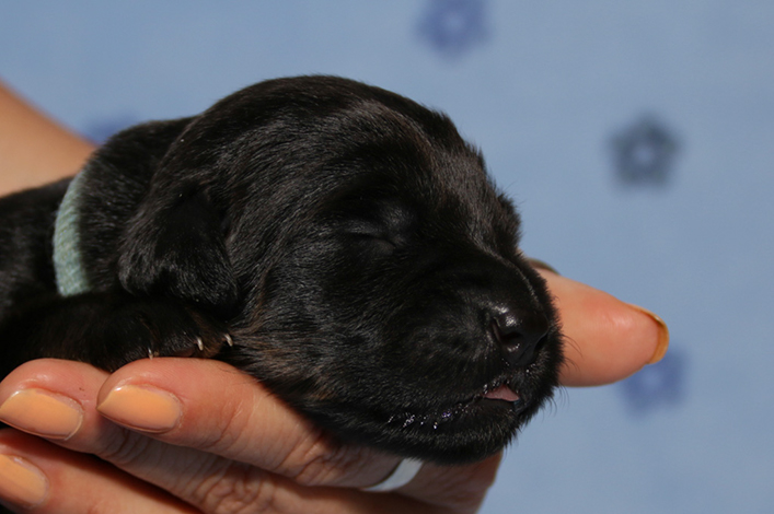 %_tempFileNameIMG_0390%