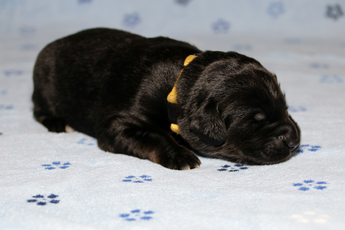 %_tempFileNameIMG_0394%