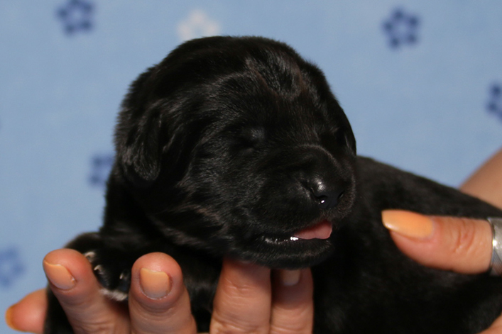 %_tempFileNameIMG_0411%