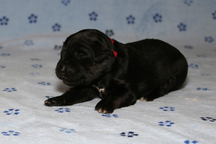 %_tempFileNameIMG_0439%