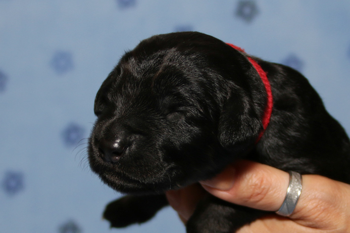 %_tempFileNameIMG_0475%