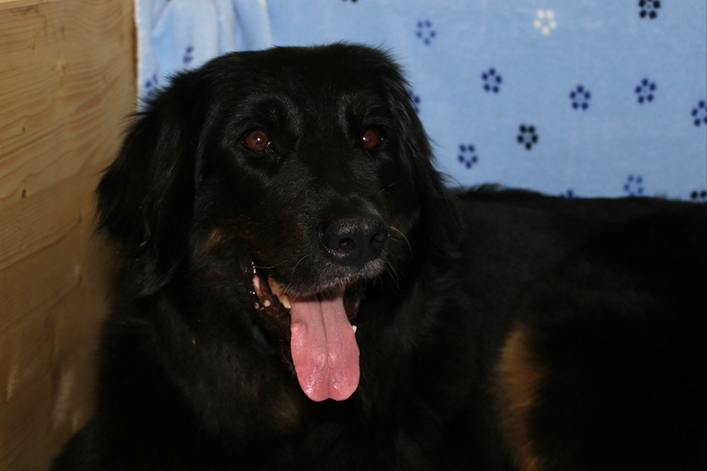 %_tempFileNameIMG_0543%