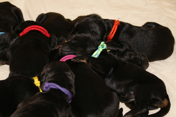 %_tempFileNameIMG_9916%