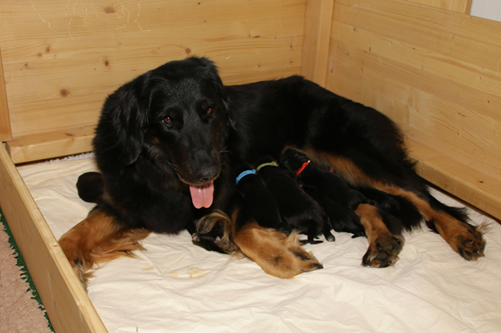 %_tempFileNameIMG_9933%