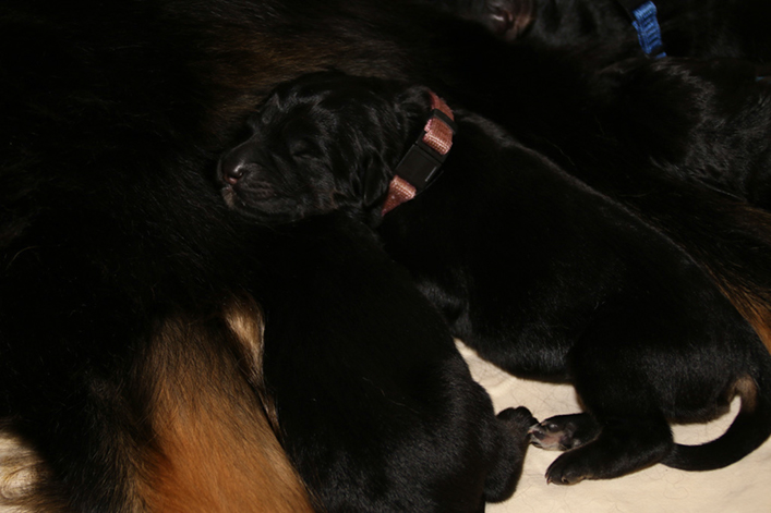 %_tempFileNameIMG_9952%