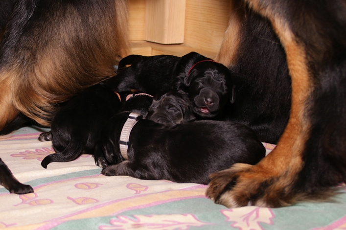 %_tempFileNameIMG_9963%