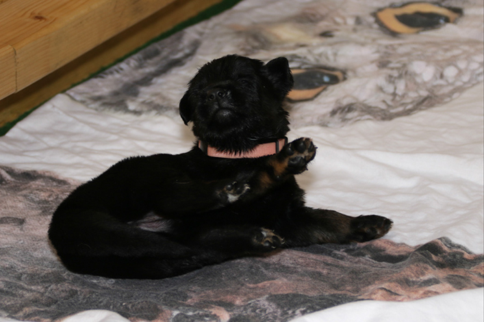 %_tempFileNameIMG_1149%