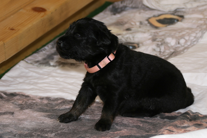 %_tempFileNameIMG_1152%