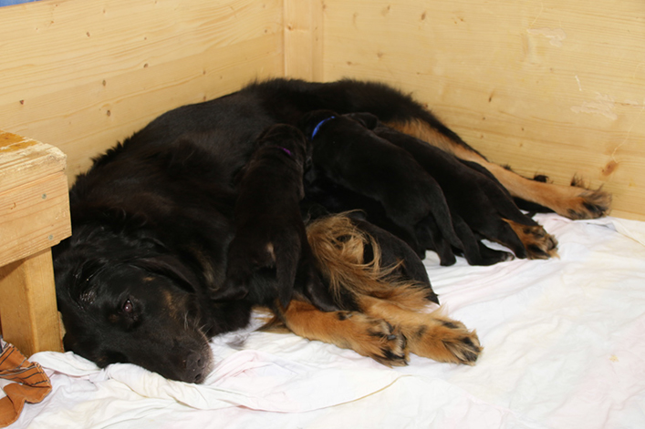 %_tempFileNameIMG_1178%